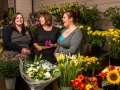 25_THE_FLOWER_GALLERY