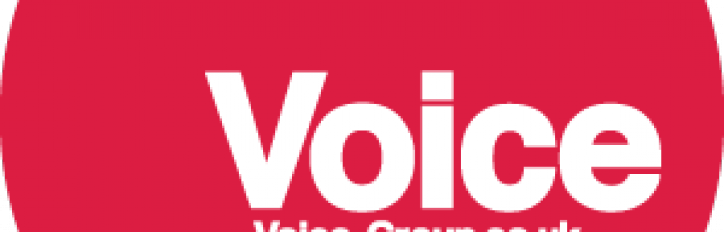 Voice Group logo